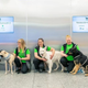 Imagen para el artículo titulado En el aeropuerto de Helsinki han comenzado a usar perros para detectar pasajeros enfermos de covid-19